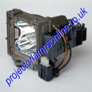 SP-LAMP-017